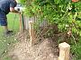 Taree-fence-b 027